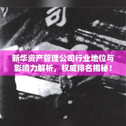 新华资产管理公司行业地位与影响力解析，权威排名揭秘！