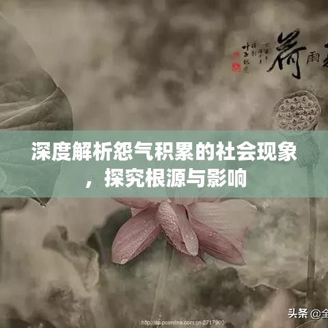 深度解析怨气积累的社会现象，探究根源与影响
