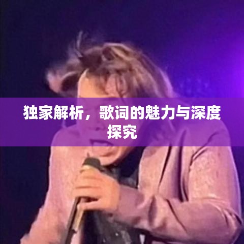 独家解析，歌词的魅力与深度探究