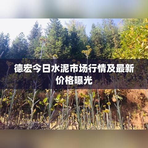 德宏今日水泥市场行情及最新价格曝光