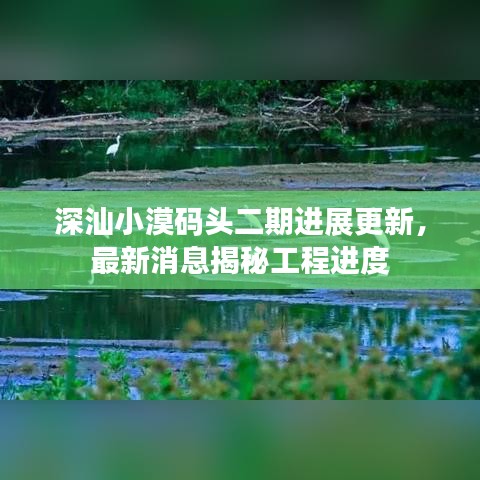 深汕小漠码头二期进展更新，最新消息揭秘工程进度