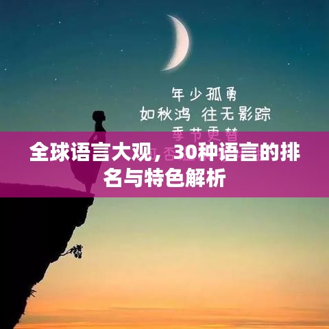 全球语言大观，30种语言的排名与特色解析