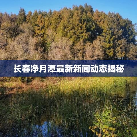 长春净月潭最新新闻动态揭秘