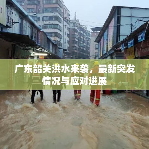 广东韶关洪水来袭，最新突发情况与应对进展