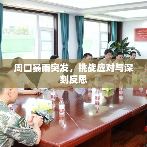 周口暴雨突发，挑战应对与深刻反思