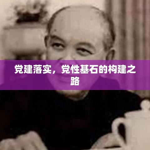 党建落实，党性基石的构建之路