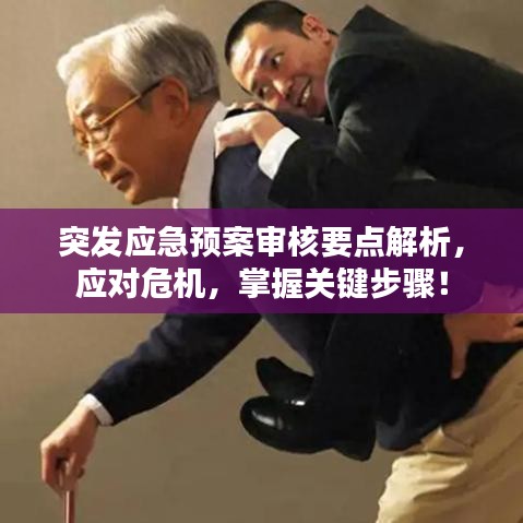 突发应急预案审核要点解析，应对危机，掌握关键步骤！