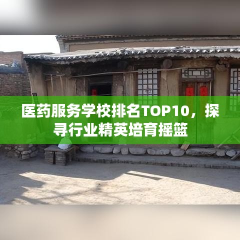 医药服务学校排名TOP10，探寻行业精英培育摇篮