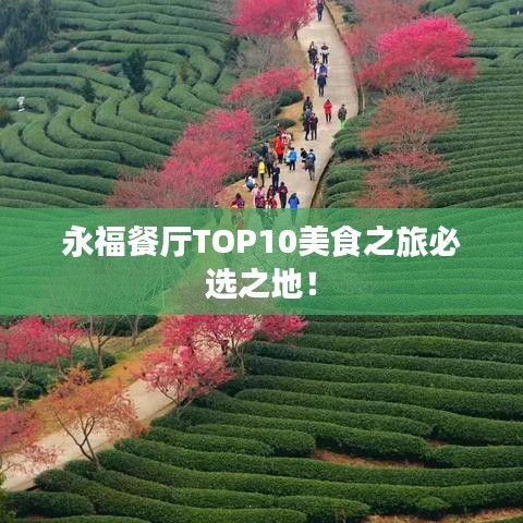 永福餐厅TOP10美食之旅必选之地！