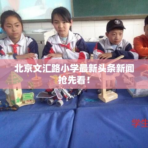 北京文汇路小学最新头条新闻抢先看！