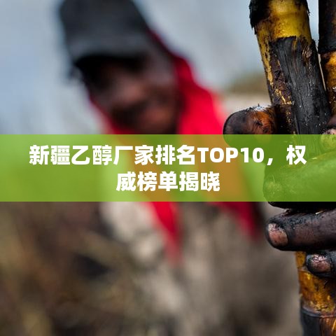 新疆乙醇厂家排名TOP10，权威榜单揭晓