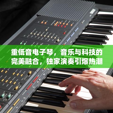 重低音电子琴，音乐与科技的完美融合，独家演奏引爆热潮！