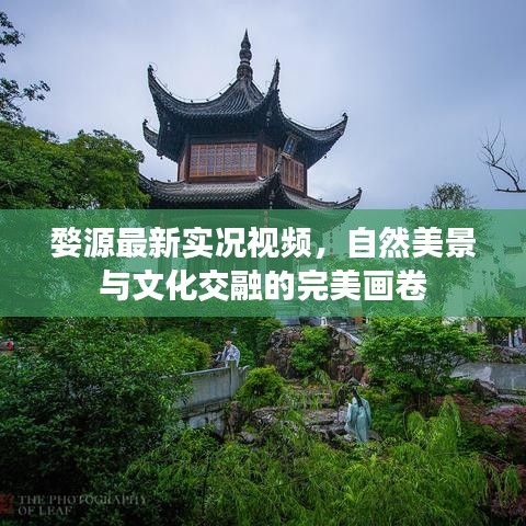 婺源最新实况视频，自然美景与文化交融的完美画卷