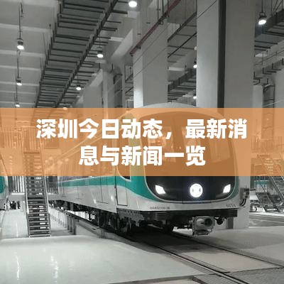 深圳今日动态，最新消息与新闻一览