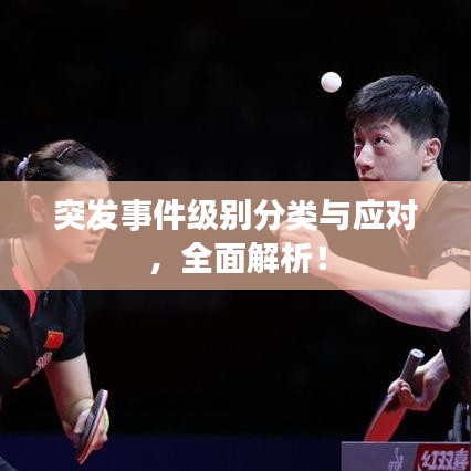玉树临风