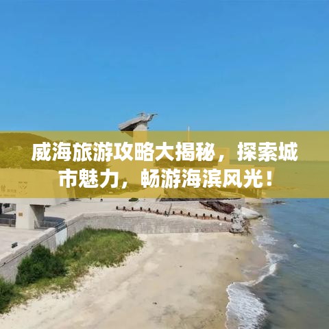 眼张失道