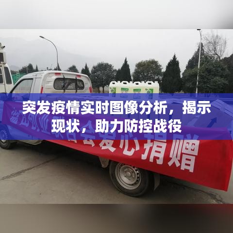 突发疫情实时图像分析，揭示现状，助力防控战役