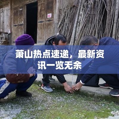 萧山热点速递，最新资讯一览无余
