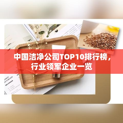 中国洁净公司TOP10排行榜，行业领军企业一览