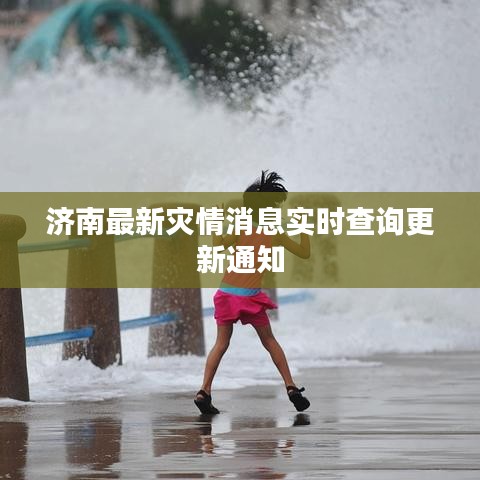济南最新灾情消息实时查询更新通知