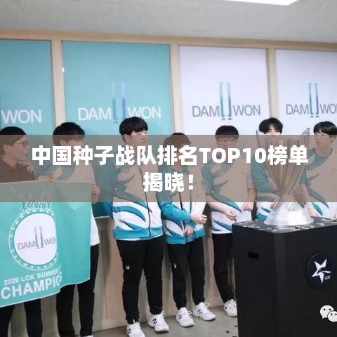 中国种子战队排名TOP10榜单揭晓！