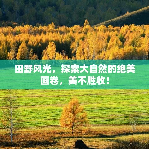田野风光，探索大自然的绝美画卷，美不胜收！