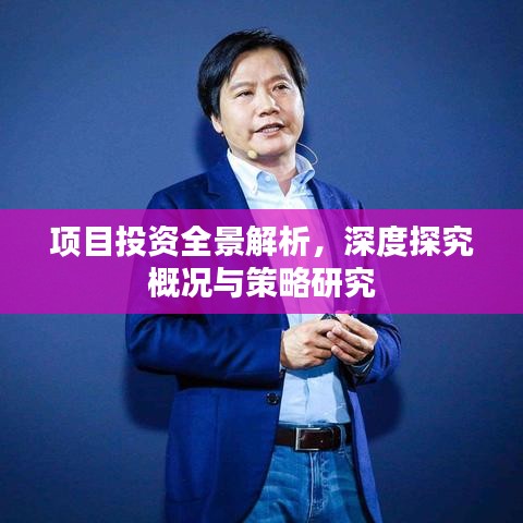 项目投资全景解析，深度探究概况与策略研究