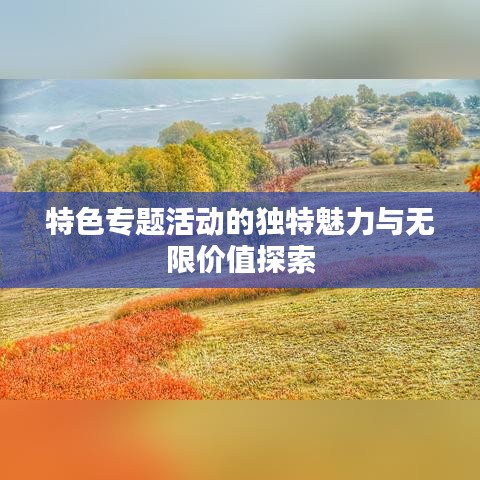 特色专题活动的独特魅力与无限价值探索