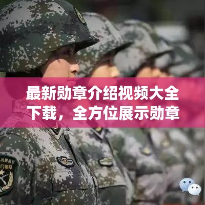 最新勋章介绍视频大全下载，全方位展示勋章风采的独家资源