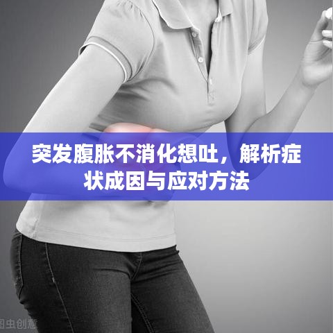 突发腹胀不消化想吐，解析症状成因与应对方法