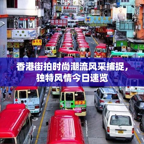 香港街拍时尚潮流风采捕捉，独特风情今日速览