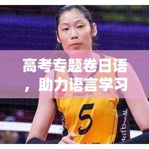 高考专题卷日语，助力语言学习的新途径
