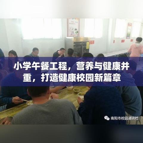 小学午餐工程，营养与健康并重，打造健康校园新篇章
