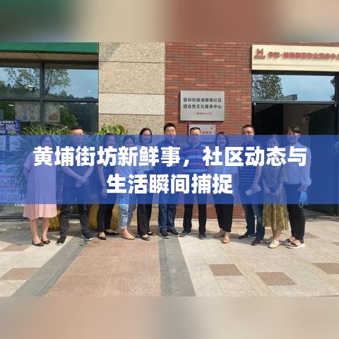 黄埔街坊新鲜事，社区动态与生活瞬间捕捉
