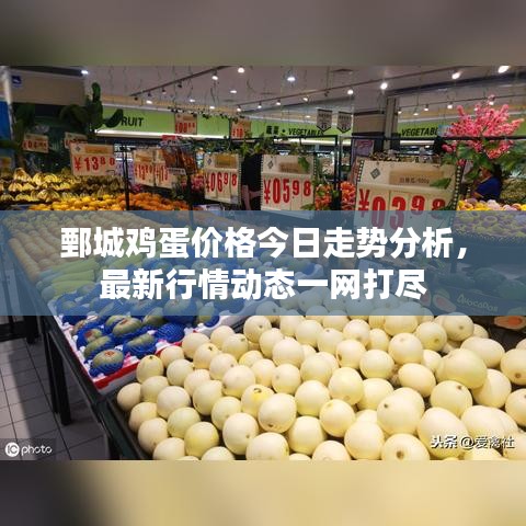 鄄城鸡蛋价格今日走势分析，最新行情动态一网打尽