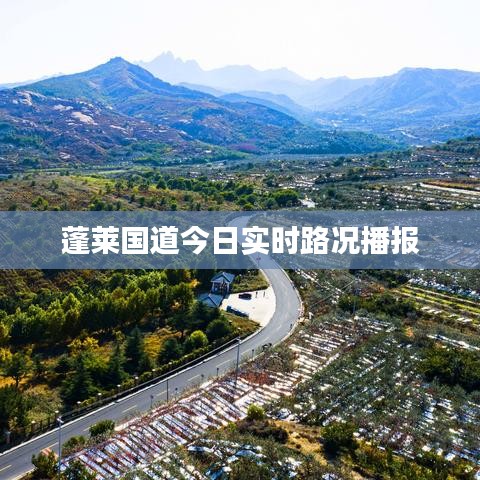 蓬莱国道今日实时路况播报