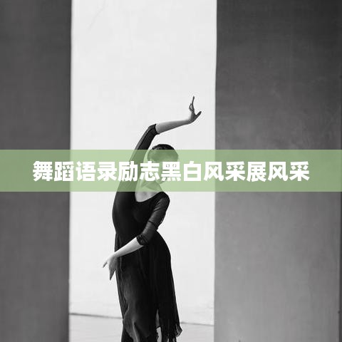 舞蹈语录励志黑白风采展风采