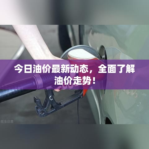 今日油价最新动态，全面了解油价走势！