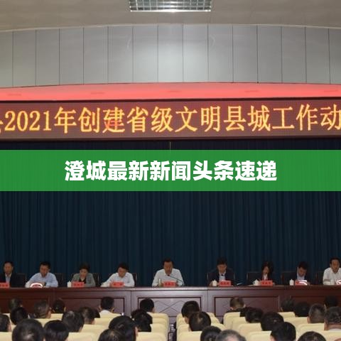澄城最新新闻头条速递