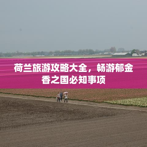 荷兰旅游攻略大全，畅游郁金香之国必知事项