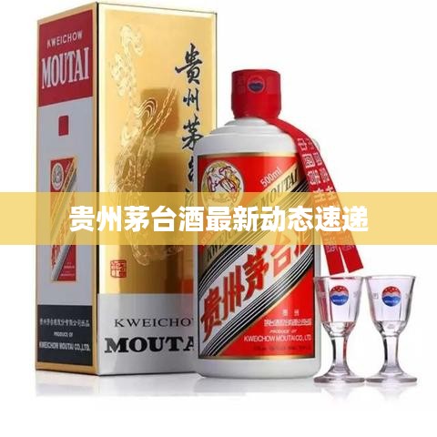 贵州茅台酒最新动态速递