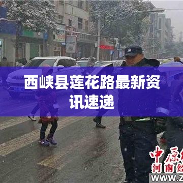 西峡县莲花路最新资讯速递