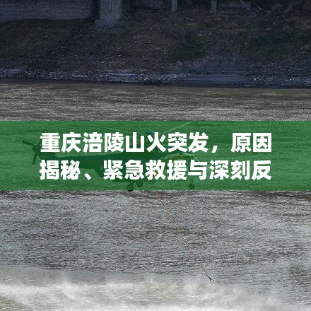 重庆涪陵山火突发，原因揭秘、紧急救援与深刻反思