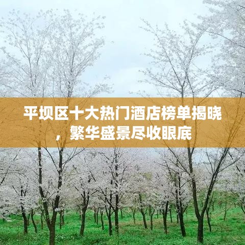 平坝区十大热门酒店榜单揭晓，繁华盛景尽收眼底