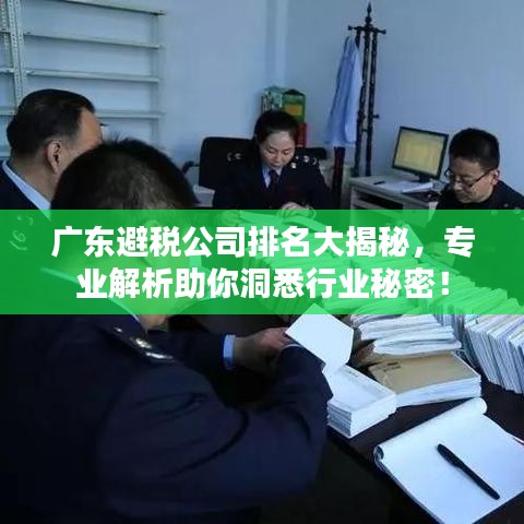 广东避税公司排名大揭秘，专业解析助你洞悉行业秘密！