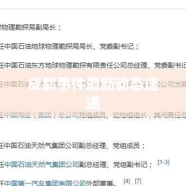 成都事件最新动态速递