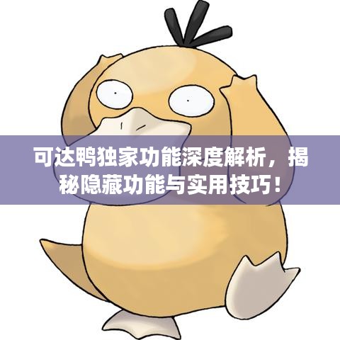 可达鸭独家功能深度解析，揭秘隐藏功能与实用技巧！