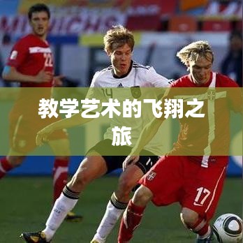 教学艺术的飞翔之旅