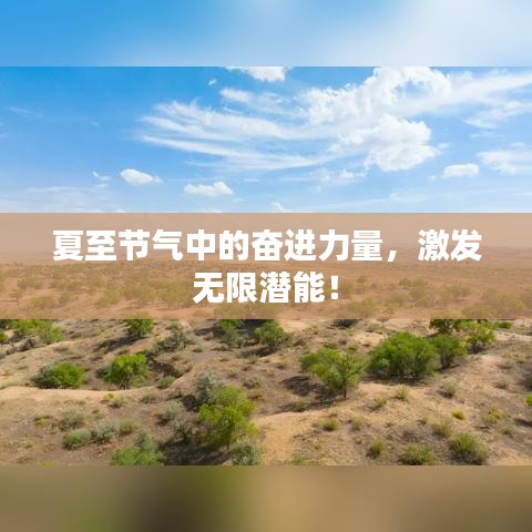 夏至节气中的奋进力量，激发无限潜能！