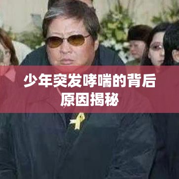 少年突发哮喘的背后原因揭秘